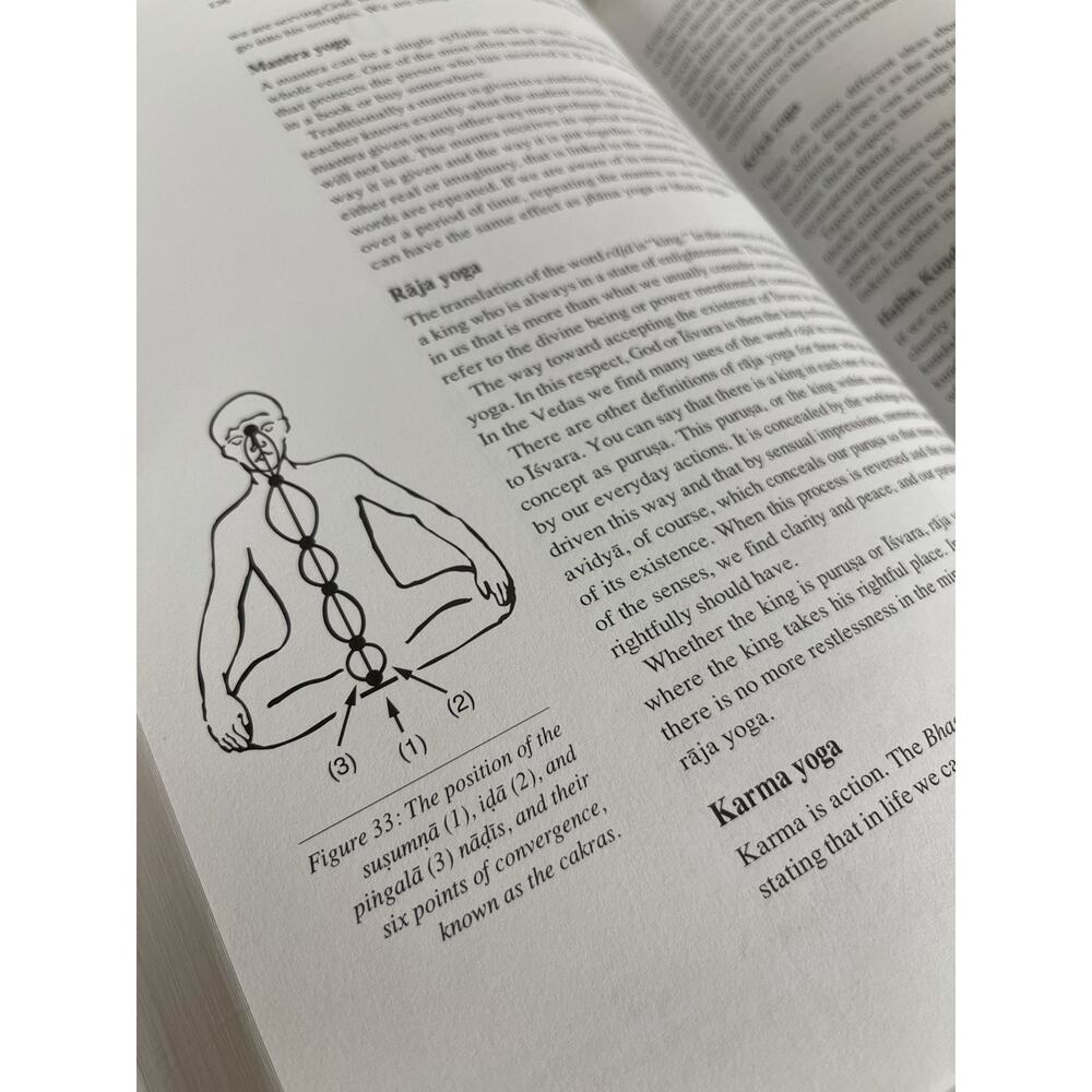 The Heart of Yoga by T.K.V. Desikachar Revised Edition Developing Personal Plan - Picture 2 of 7